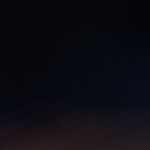 Meet your Posher, Jayla